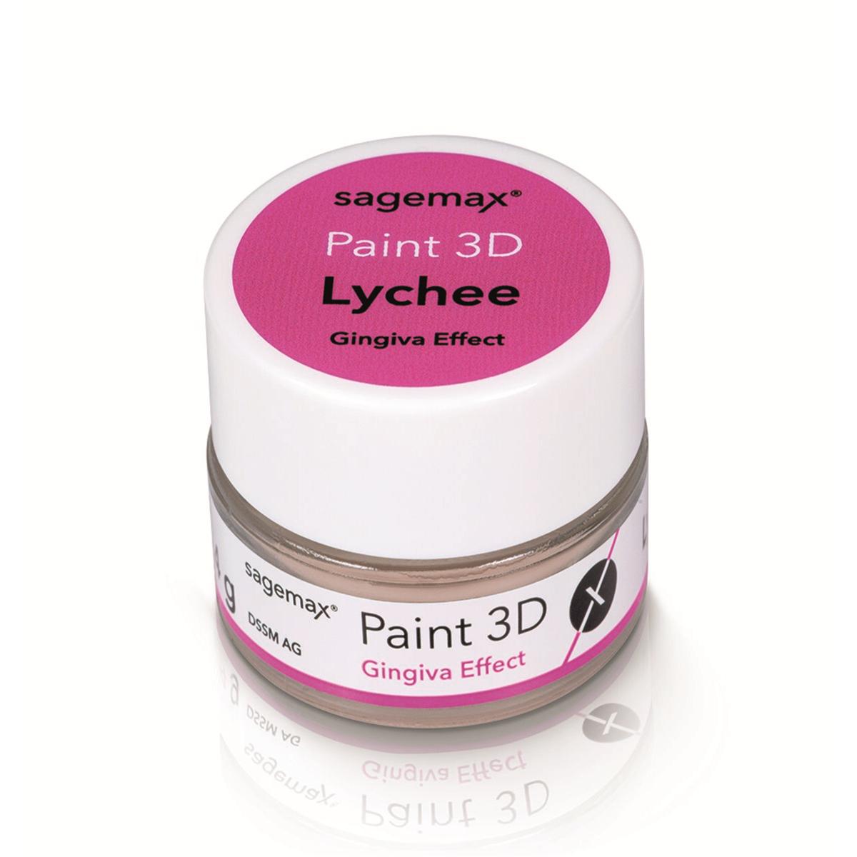 Paint 3D - Gingiva 4g - Effect Lychee - Sagemax