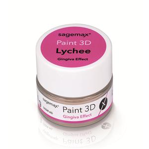 Paint 3D - Gingiva 4g - Effect Lychee - Sagemax