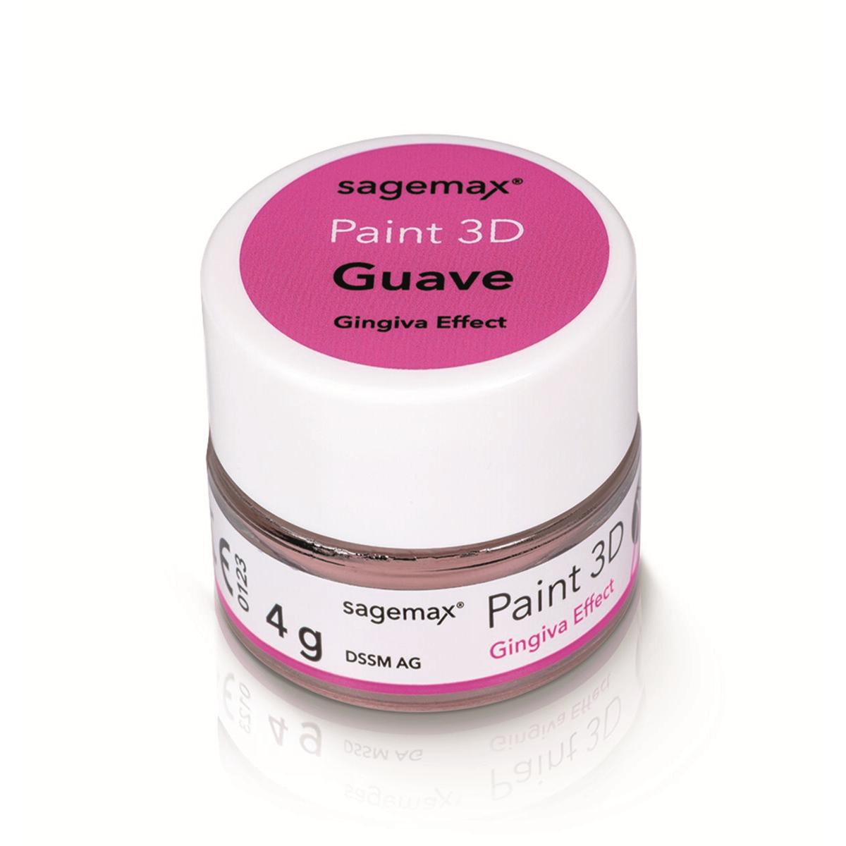 Paint 3D - Gingiva 4g - Effect Guave - Sagemax