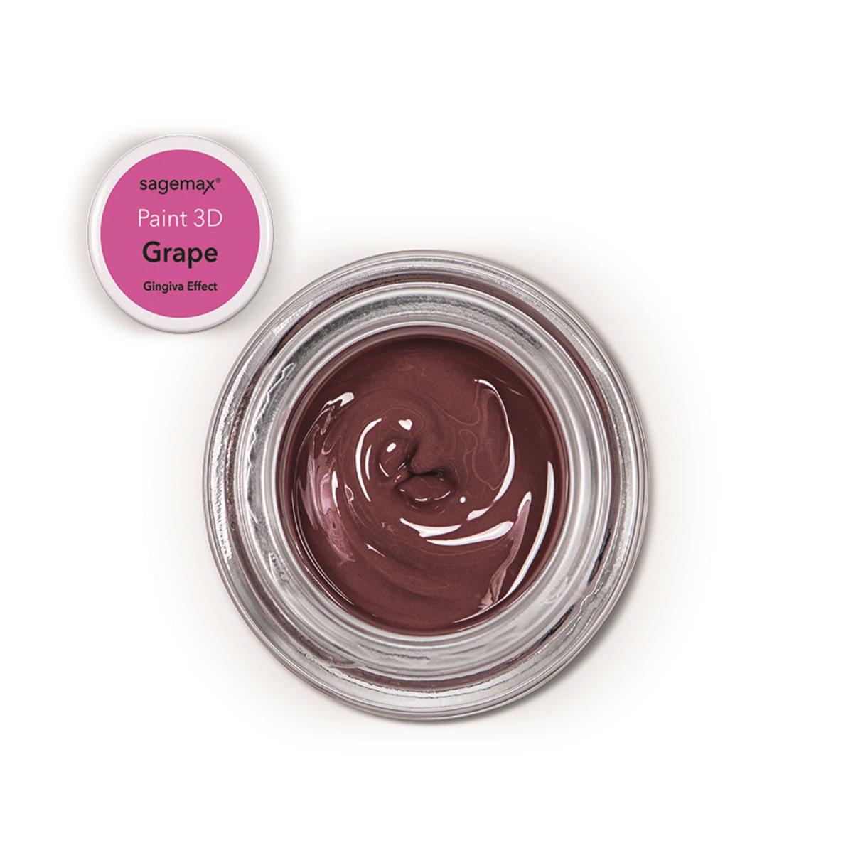 Paint 3D - Gingiva 4g - Effect Grape - Sagemax