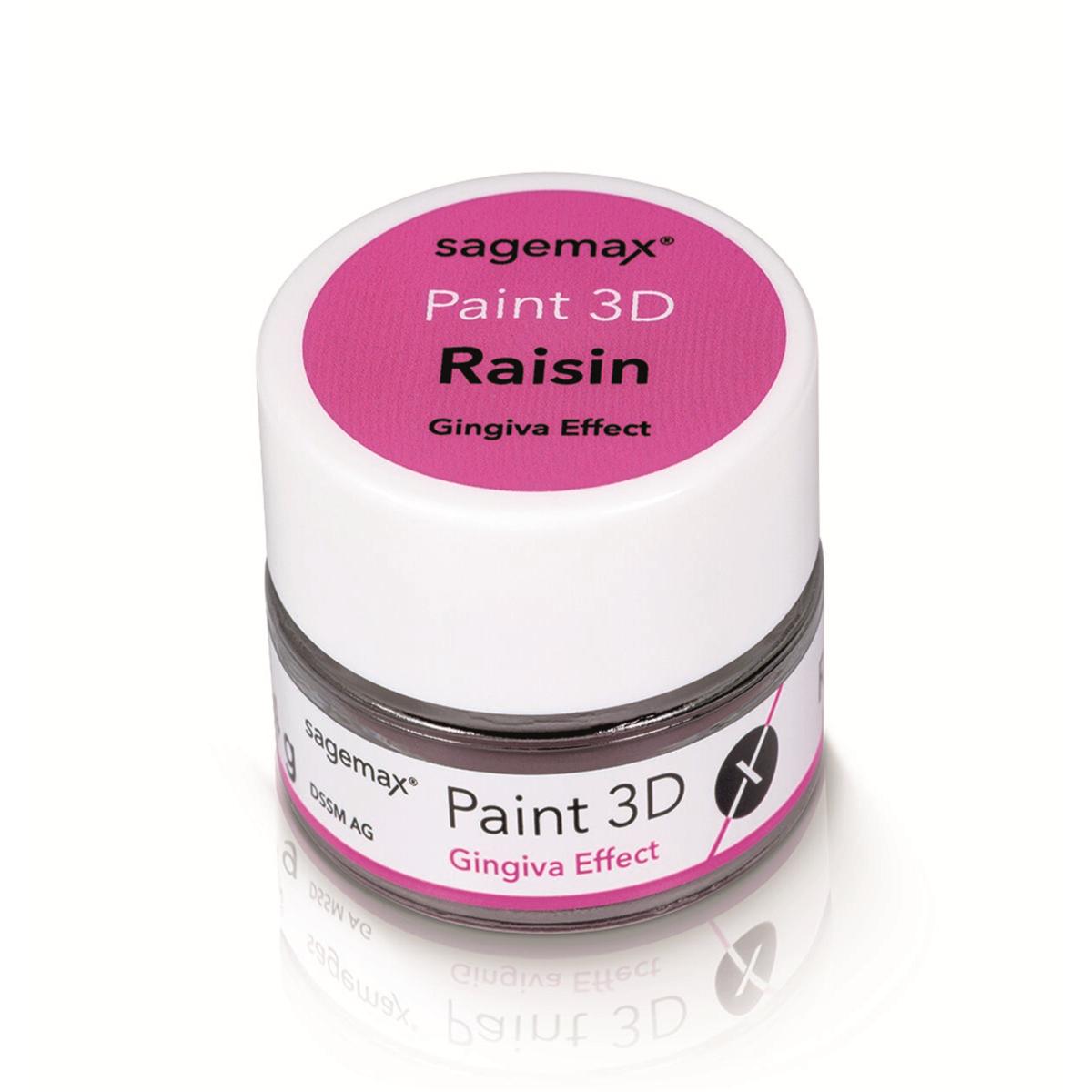 Paint 3D - Gingiva 4g - Effect Raisin - Sagemax