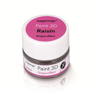 Paint 3D - Gingiva 4g - Effect Raisin - Sagemax
