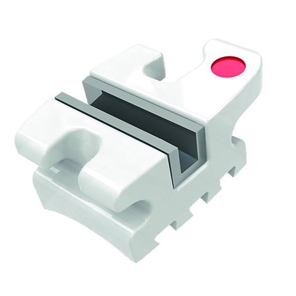 Bracket Avalon ORTHO-TECHNOLOGY - Roth 0,018 - 3x3 crochet - Bote de 20