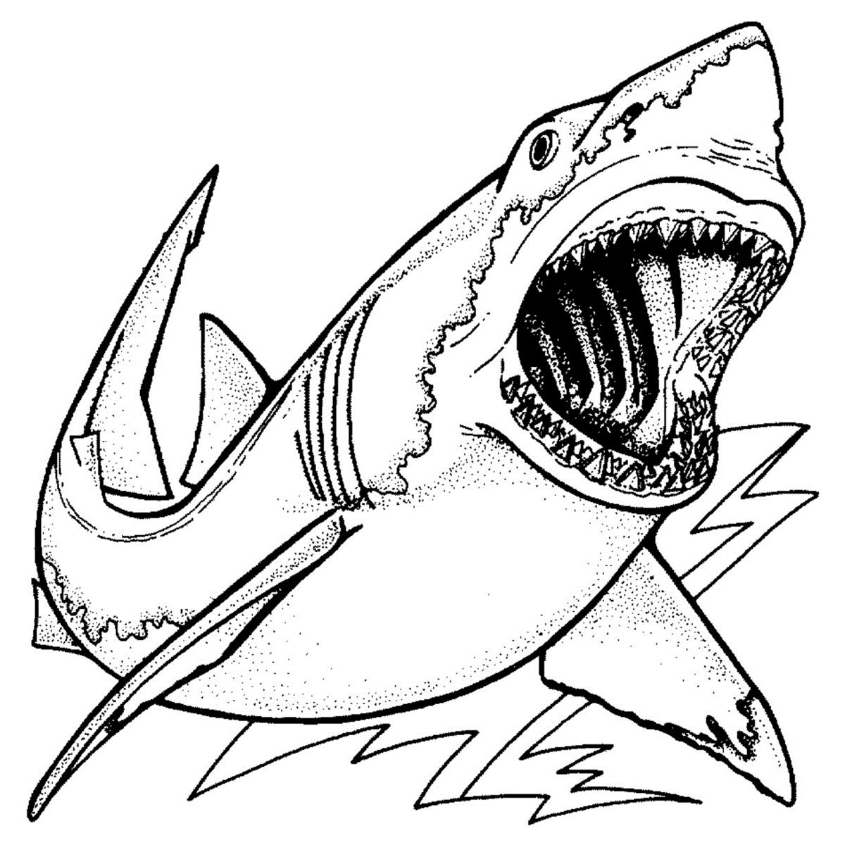Elastique Creatures of the sea ORTHO TECHNOLOGY - 5/16- Fort - Latex - Bote de 50 x 100