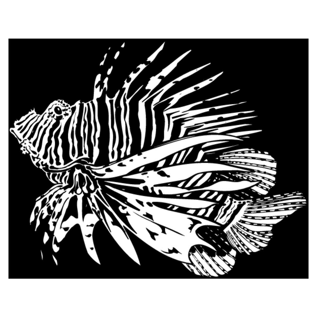 Elastique Creatures of the sea ORTHO-TECHNOLOGY - 1/8 - Lger - Latex - Bote de 50 x 100