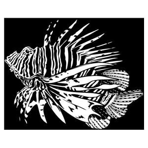 Elastique Creatures of the sea ORTHO-TECHNOLOGY - 1/8 - Lger - Latex - Bote de 50 x 100