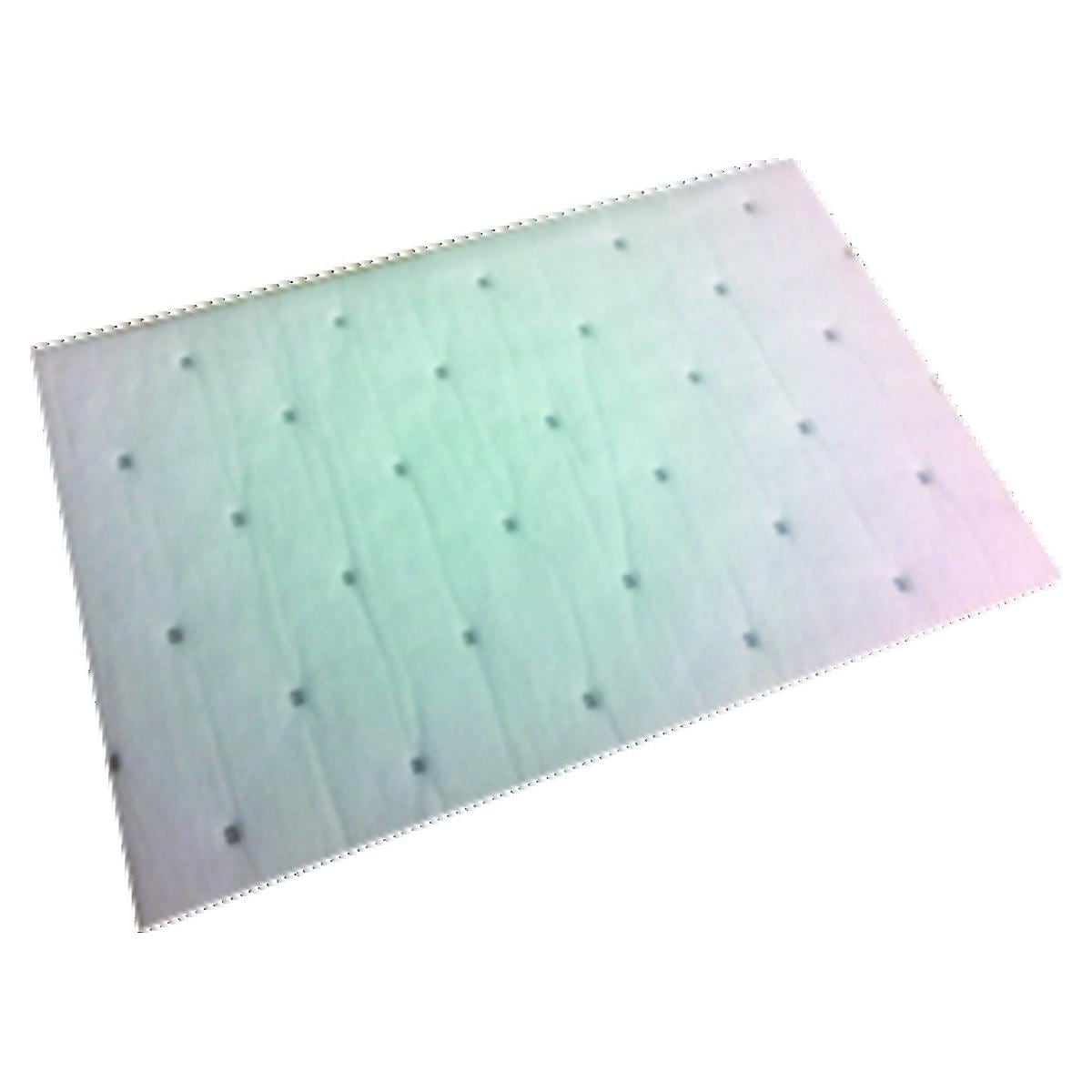 Feuilles absorbantes pour Ultimate CL BA INTERNATIONAL - le lot de 10