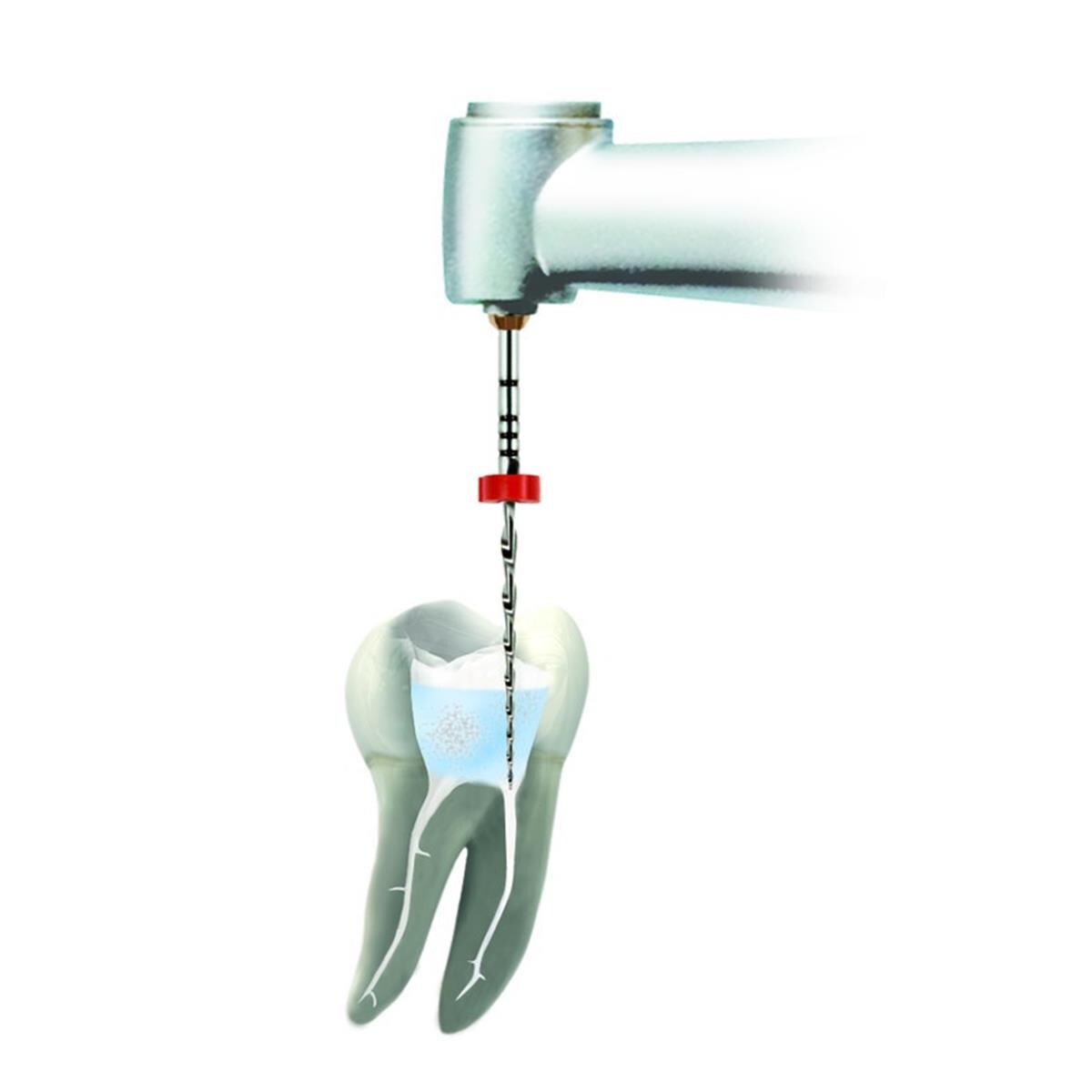 Kit moteur VDW.GOLD reciproc DENTSPLY SIRONA