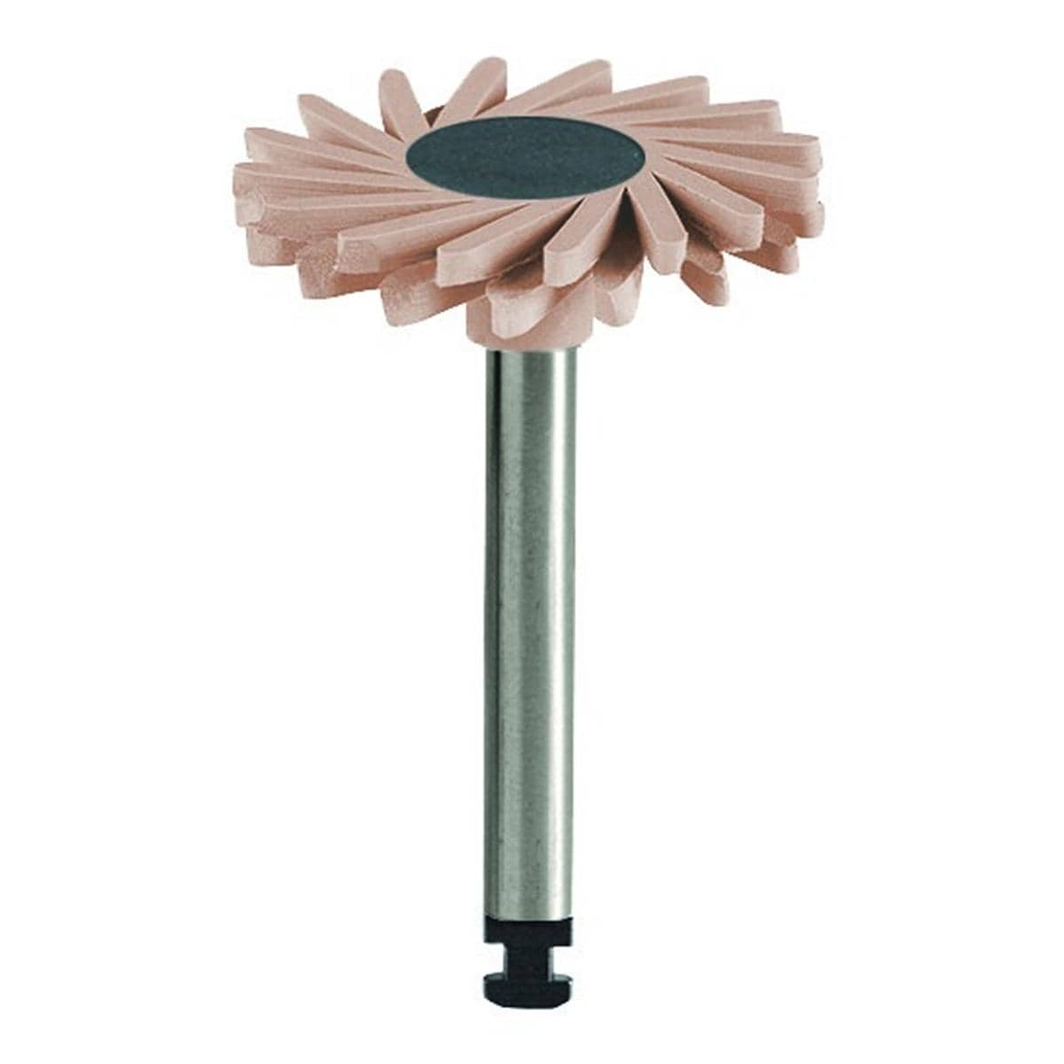 Shapeguard DIATECH - Reassort Zircone - n140 - Beige - Bote de 5