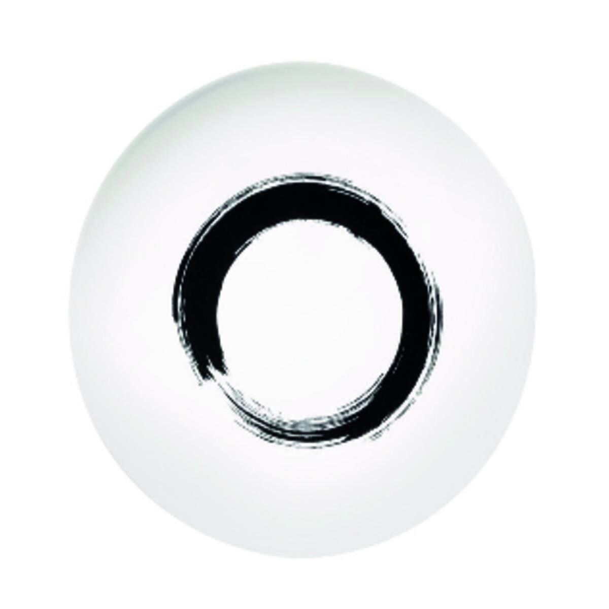 LOT 6 ASSIETTES RONDES 29CM ARTY CREATION CERCLE