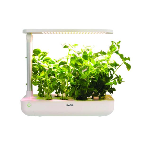 Jardin d'intrieur 9 emplacements Livoo