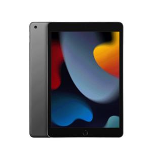 IPAD 10.2 WI-FI 256 GO GRIS SIDRAL 21002556 MU