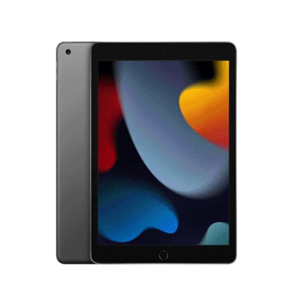 IPAD 10.2 WI-FI 256 GO GRIS SIDRAL 21002556 MU