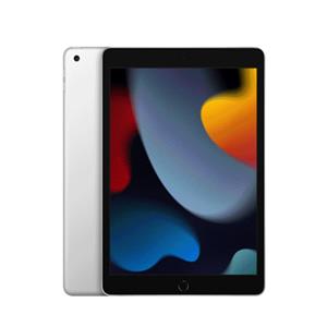 iPad 10.2 - Wi-Fi 256 Go - Argent - APPLE