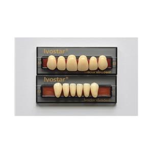 Ivostar Sample 3xDenture A3