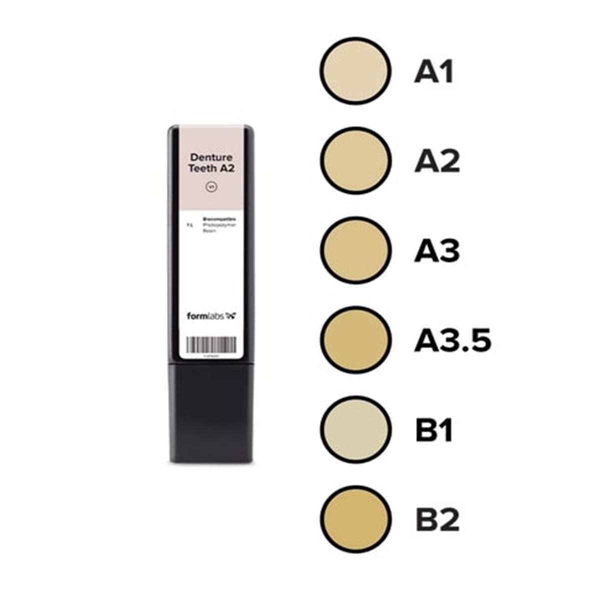 Rsine Formlabs Denture Teeth B2