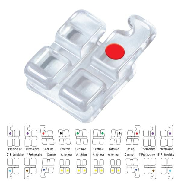 Bracket Pure ORTHO-TECHNOLOGY - Roth - 5x5 crochet canine - Bote de 10