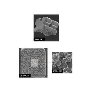 Bracket Pure ORTHO-TECHNOLOGY - Roth - 5x5 crochet canine - Bote de 10